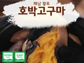 가성비최고 화산농협 해남 황토 호박고구마 8kg 베스트5