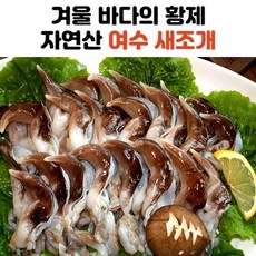 어쩌면 마지막기회  새조개 실시간 인기상품