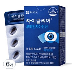 가성비최고  루테인지아잔틴 가성비 상품