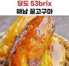 알뜰 쇼핑족 주목중 고구마 후기