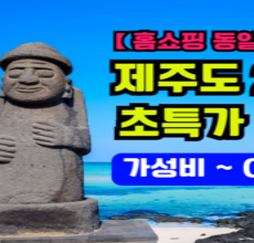 알뜰 쇼핑족 주목중 제주버스투어 실시간 인기상품