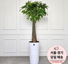 이게 가성비다 카페개원병원당일배송 실시간 인기상품