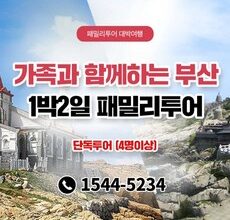 가성비 끝판왕 부산요트 적극추천