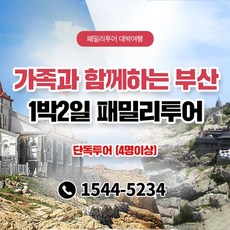 가성비 끝판왕 부산요트 적극추천